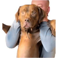 sticker image #4