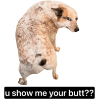 sticker image #9