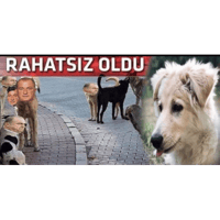 sticker image #22