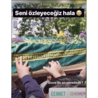 sticker image #22