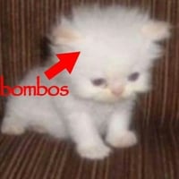 sticker image #30