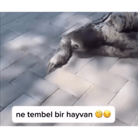 sticker image #10