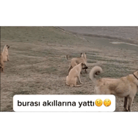 sticker image #12