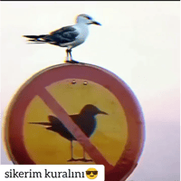 sticker image #28