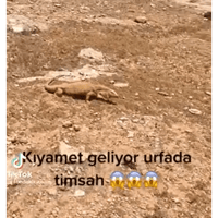 sticker image #26