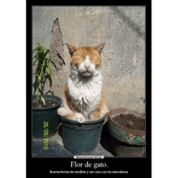 sticker image #12