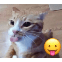sticker image #15