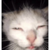 sticker image #20