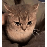 sticker image #21
