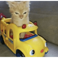 sticker image #23