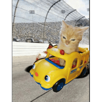 sticker image #24