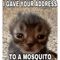 sticker image #28