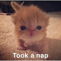 sticker image #29