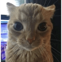 sticker image #30