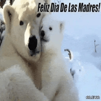 sticker image #25