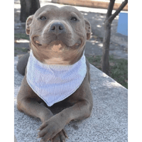 sticker image #20