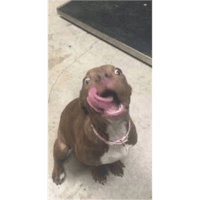 sticker image #21