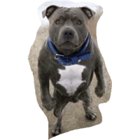 sticker image #23