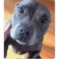 sticker image #25