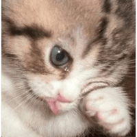 sticker image #2