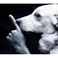 sticker image #21