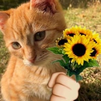 sticker image #14
