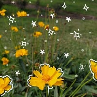 sticker image #2