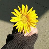 sticker image #5