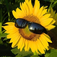 sticker image #8