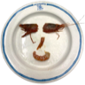 tray_icon #124840 sticker_pack