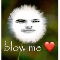 sticker image #2