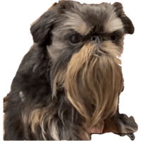 sticker image #26
