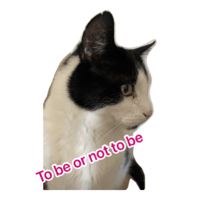 sticker image #10