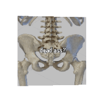 sticker image #21