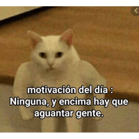 sticker image #10