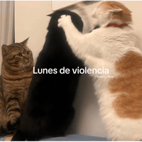 sticker image #11
