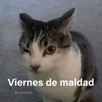 sticker image #13