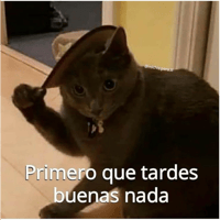 sticker image #17