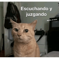 sticker image #22