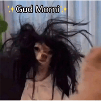 sticker image #29
