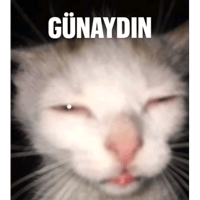 sticker image #13