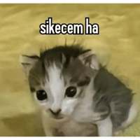 sticker image #18