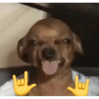 sticker image #19