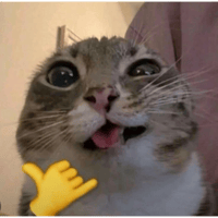 sticker image #2