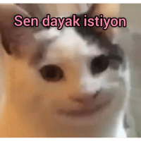 sticker image #24
