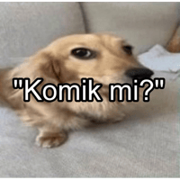 sticker image #25
