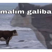 sticker image #6