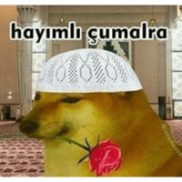 sticker image #7