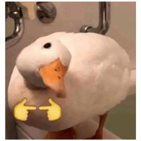 sticker image #1