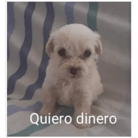 sticker image #16